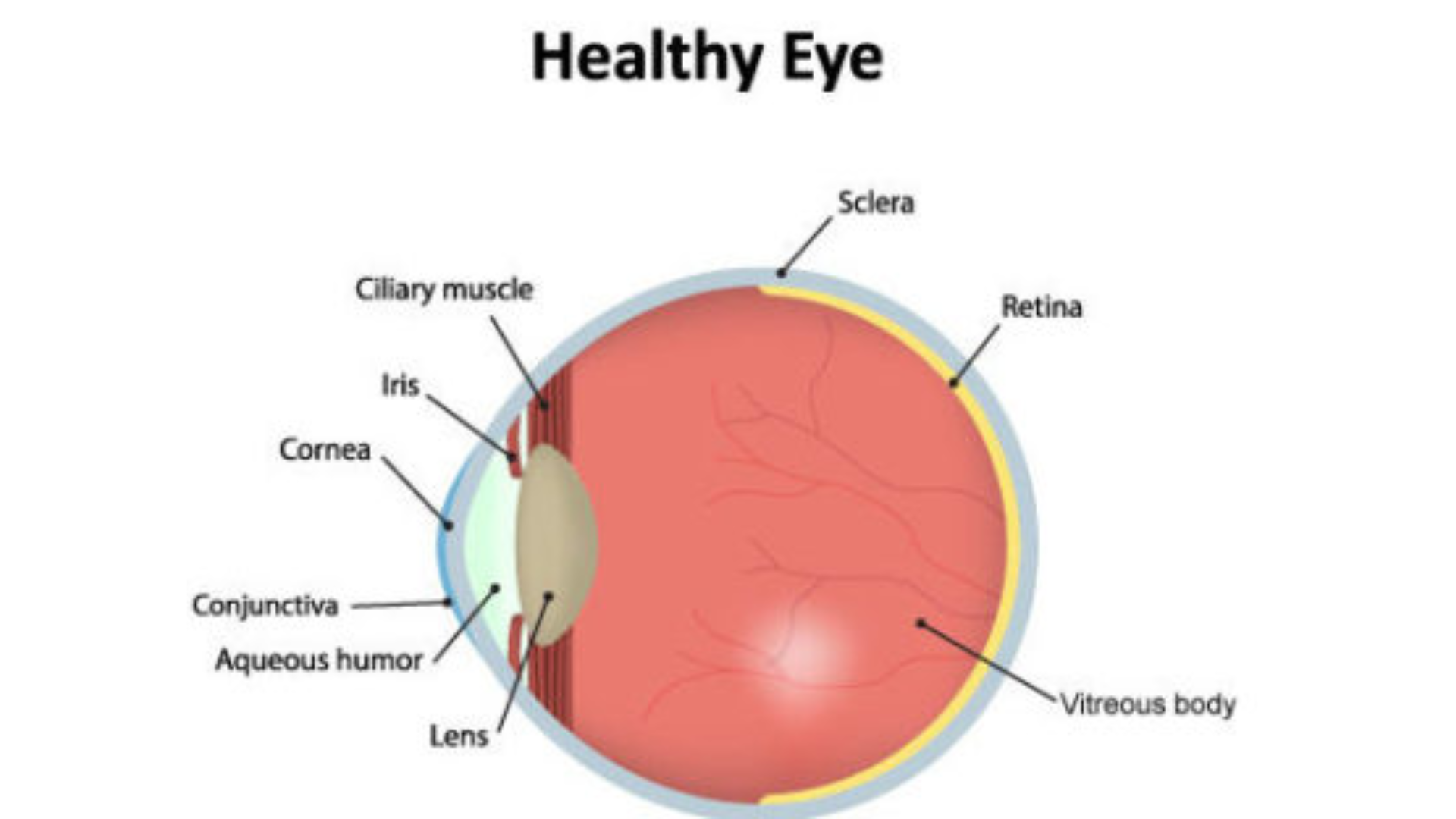 dry eye normal